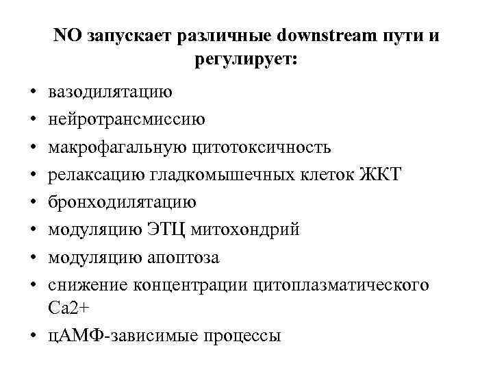 NO запускает различные downstream пути и регулирует: • • вазодилятацию нейротрансмиссию макрофагальную цитотоксичность релаксацию