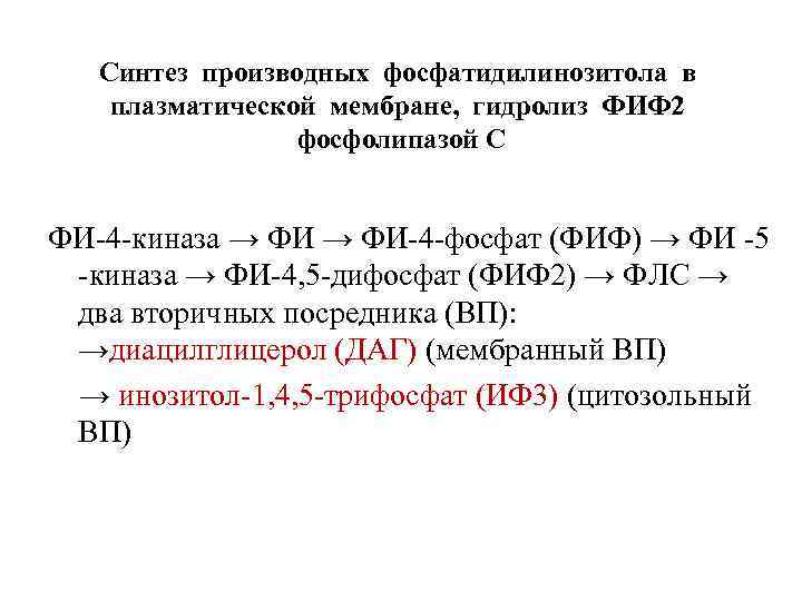 Синтез производных фосфатидилинозитола в плазматической мембране, гидролиз ФИФ 2 фосфолипазой С ФИ-4 -киназа →