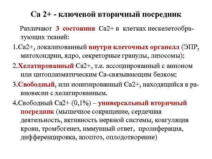 Са 2+ - ключевой вторичный посредник Различают 3 состояния Са 2+ в клетках нескелетообразующих