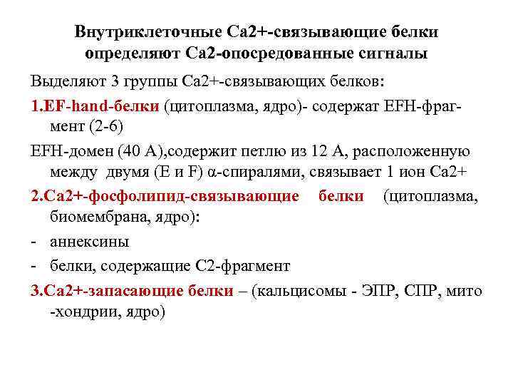 Внутриклеточные Са 2+-связывающие белки определяют Са 2 -опосредованные сигналы Выделяют 3 группы Са 2+-связывающих