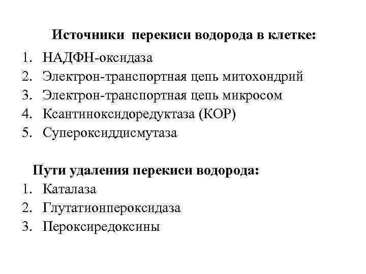 Источники перекиси водорода в клетке: 1. 2. 3. 4. 5. НАДФН-оксидаза Электрон-транспортная цепь митохондрий