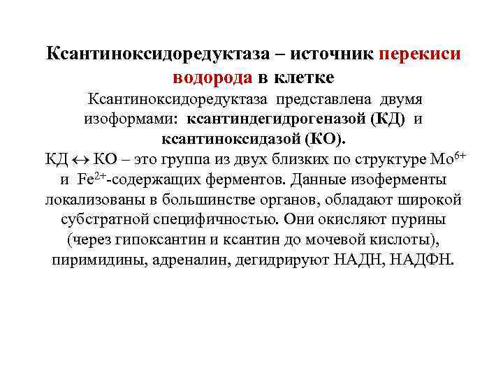 Ксантиноксидоредуктаза – источник перекиси водорода в клетке Ксантиноксидоредуктаза представлена двумя изоформами: ксантиндегидрогеназой (КД) и