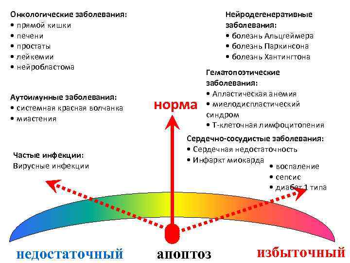 Онкологические заболевания: • прямой кишки • печени • простаты • лейкемии • нейробластома Аутоимунные