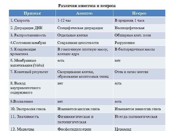 Различия апоптоза и некроза Признак Апоптоз Некроз 1. Скорость 1 -12 час В пределах