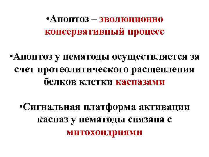  • Апоптоз – эволюционно консервативный процесс • Апоптоз у нематоды осуществляется за счет