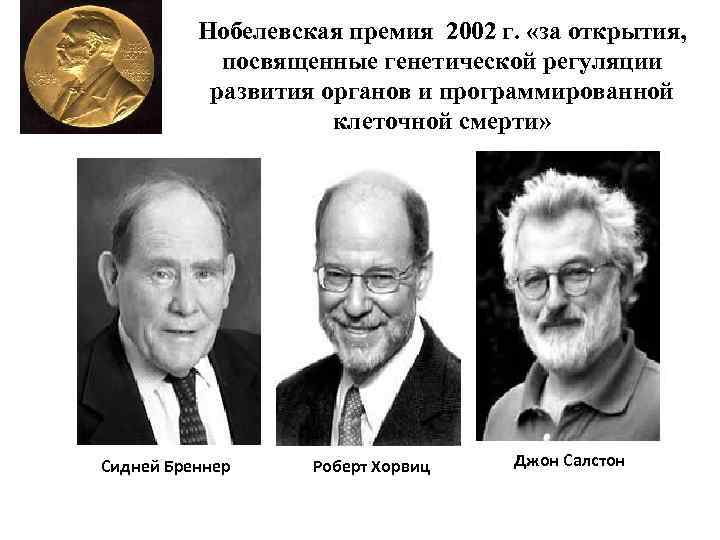 Нобелевская премия 2002 г. «за открытия, посвященные генетической регуляции развития органов и программированной клеточной