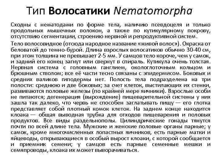 Тип Волосатики Nematomorpha Сходны с нематодами по форме тела, наличию псевдоцеля и только продольных