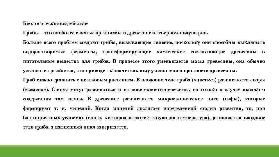 Биологическое воздействие Грибы – это наиболее важные организмы в древесине в северном полушарии. Больше