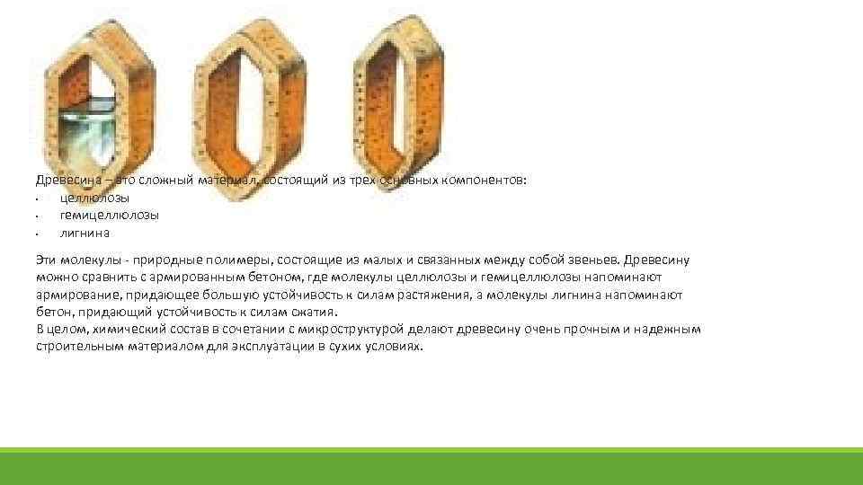 Древесина – это сложный материал, состоящий из трех основных компонентов: • целлюлозы • гемицеллюлозы