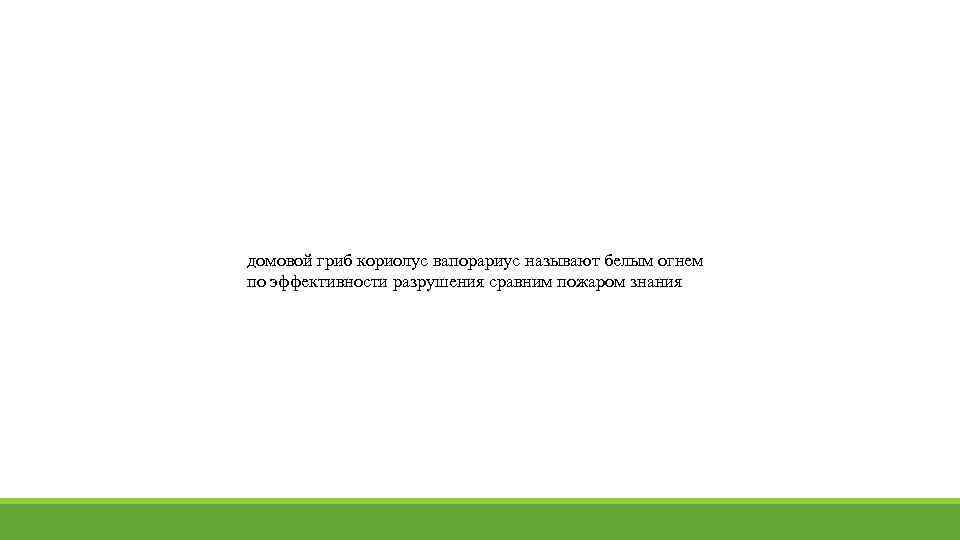 домовой гриб кориолус вапорариус называют белым огнем по эффективности разрушения сравним пожаром знания 