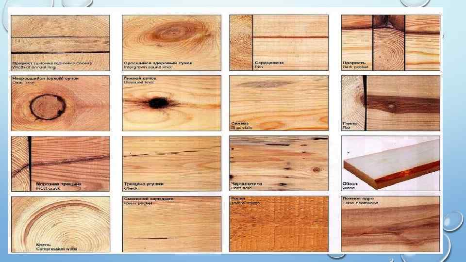 характеристика сортов древесины