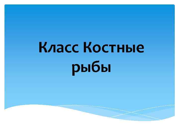 Класс Костные рыбы 