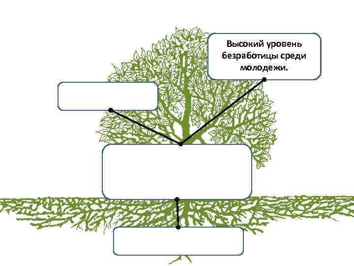 Высокий уровень безработицы среди молодежи. 