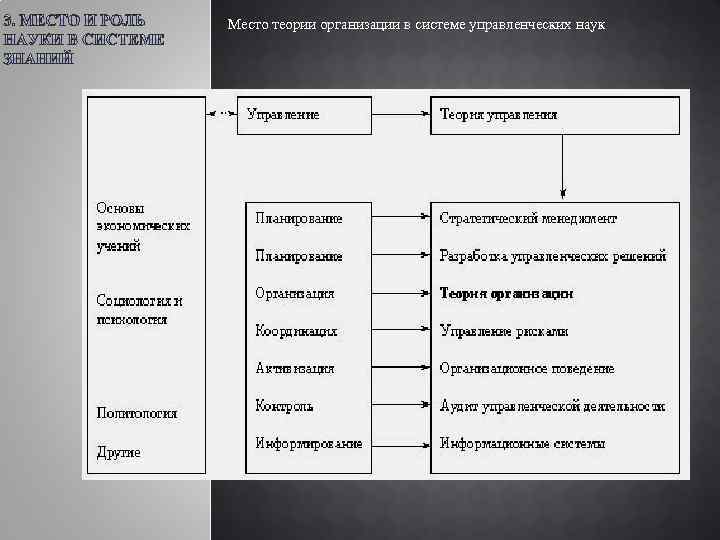 Место теории организации в системе управленческих наук 