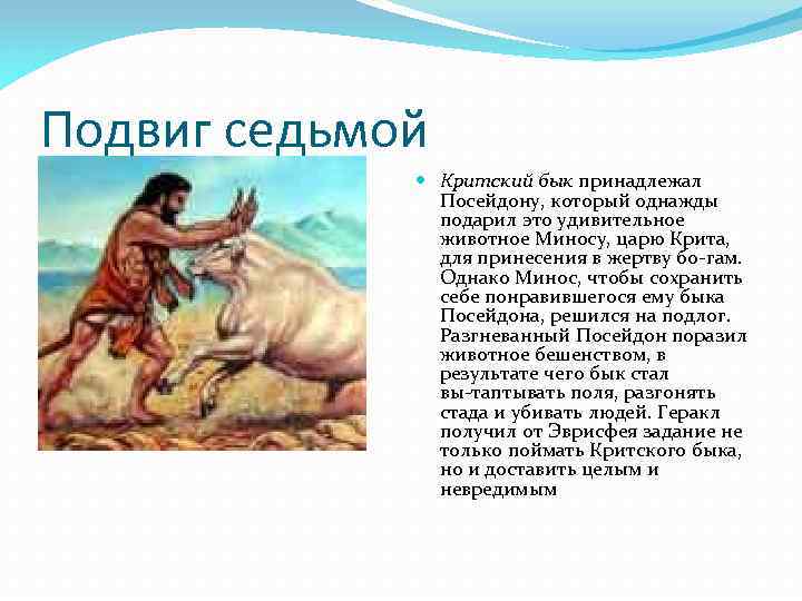 Подвиг седьмой Критский бык принадлежал Посейдону, который однажды подарил это удивительное животное Миносу, царю