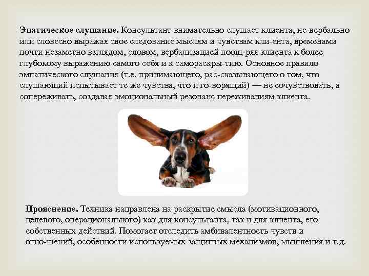 Эпатическое слушание. Консультант внимательно слушает клиента, не вербально или словесно выражая свое следование мыслям