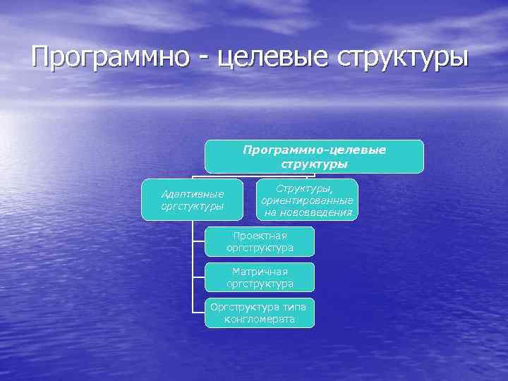 Программно - целевые структуры Программно-целевые структуры Адаптивные оргстуктуры Структуры, ориентированные на нововведения Проектная оргструктура