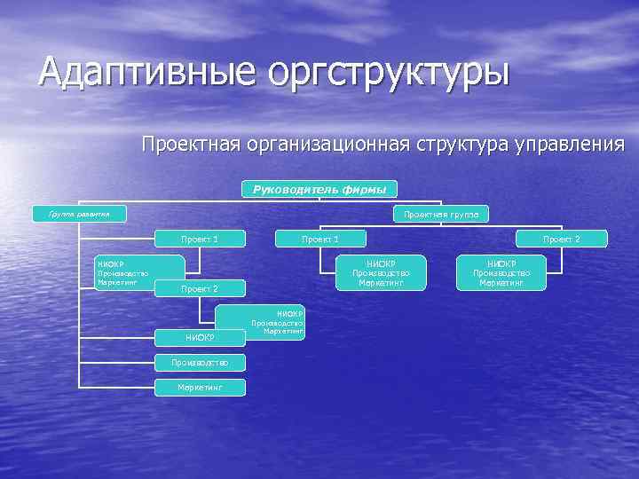 Адаптивные оргструктуры Проектная организационная структура управления Руководитель фирмы Проектная группа Группа развития Проект 1