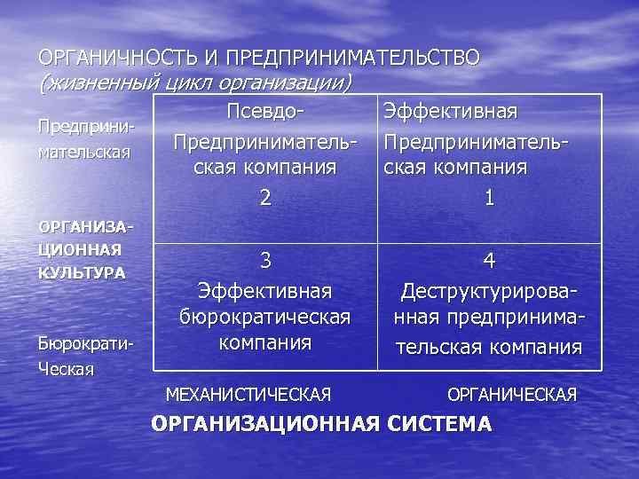 ОРГАНИЧНОСТЬ И ПРЕДПРИНИМАТЕЛЬСТВО (жизненный цикл организации) Предпринимательская ОРГАНИЗАЦИОННАЯ КУЛЬТУРА Бюрократи. Ческая Псевдо. Предпринимательская компания