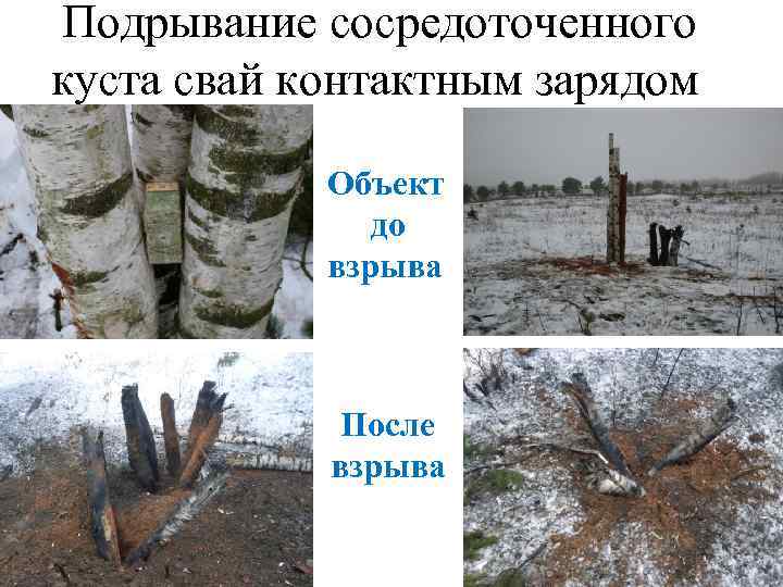 Подрывание сосредоточенного куста свай контактным зарядом Объект до взрыва После взрыва 