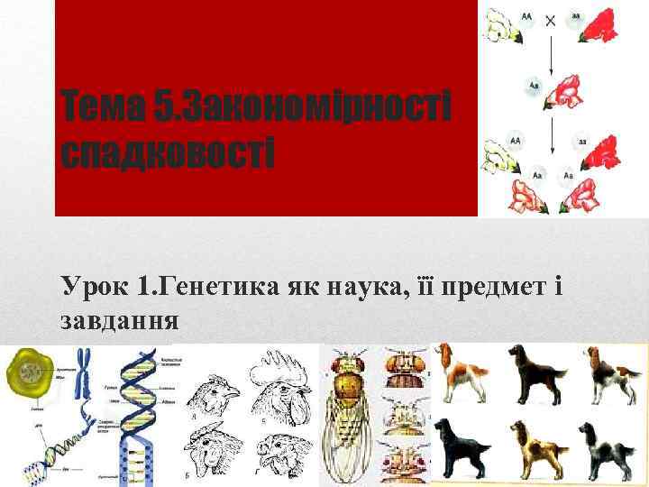 Тема 5. Закономірності спадковості Урок 1. Генетика як наука, її предмет і завдання 