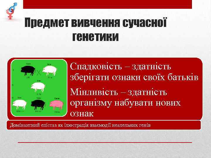 Предмет вивчення сучасної генетики Спадковість – здатність зберігати ознаки своїх батьків Мінливість – здатність