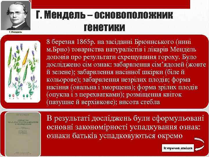 Г. Мендель – основоположник генетики 8 березня 1865 р. на засіданні Брюннського (нині м.