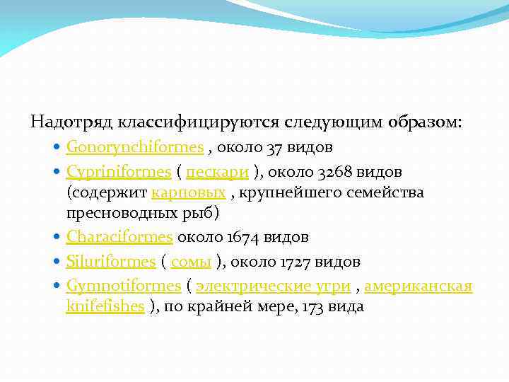  Надотряд классифицируются следующим образом: Gonorynchiformes , около 37 видов Cypriniformes ( пескари ),