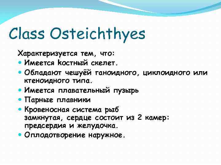 Class Osteichthyes Характеризуется тем, что: Имеется kостный скелет. Обладают чешуёй ганоидного, циклоидного или ктеноидного