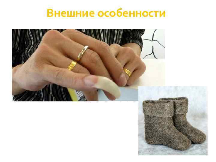 Внешние особенности 