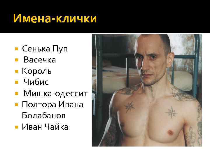 Имена-клички Сенька Пуп Васечка Король Чибис Мишка-одессит Полтора Ивана Болабанов Иван Чайка 