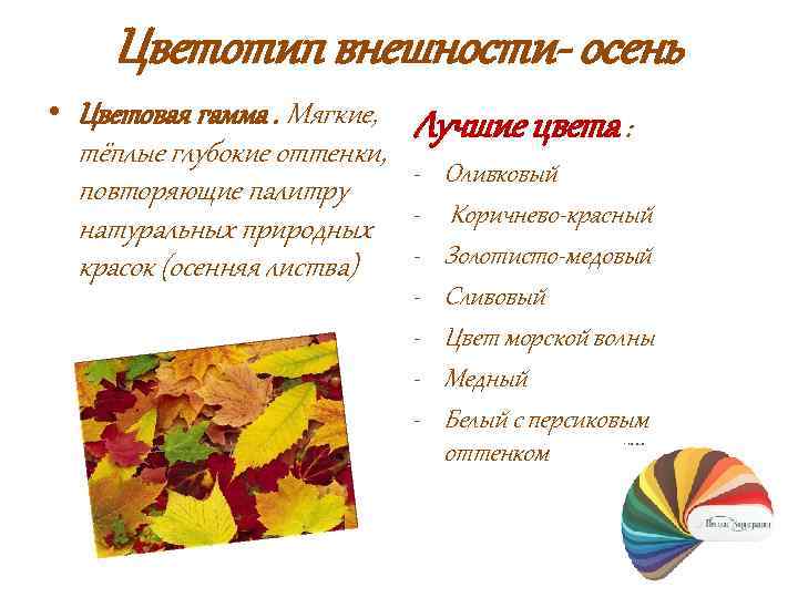 Цветотип внешности- осень • Цветовая гамма. Мягкие, Лучшие цвета : тёплые глубокие оттенки, -