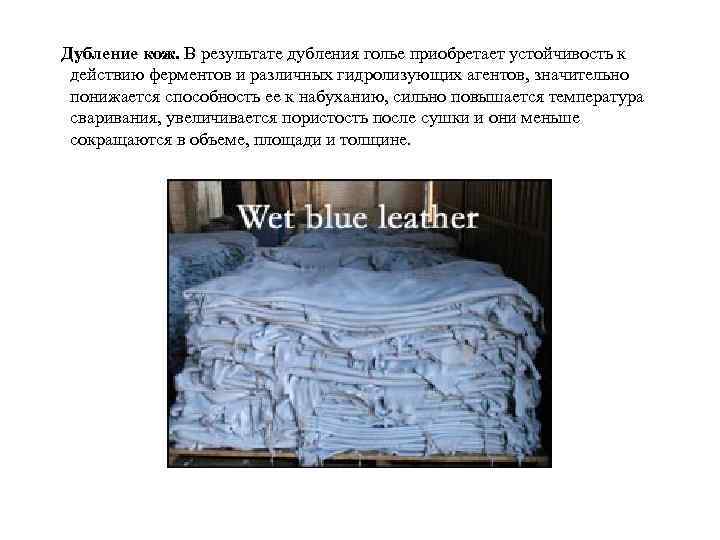 Дубление кож. В результате дубления голье приобретает устойчивость к действию ферментов и различных гидролизующих