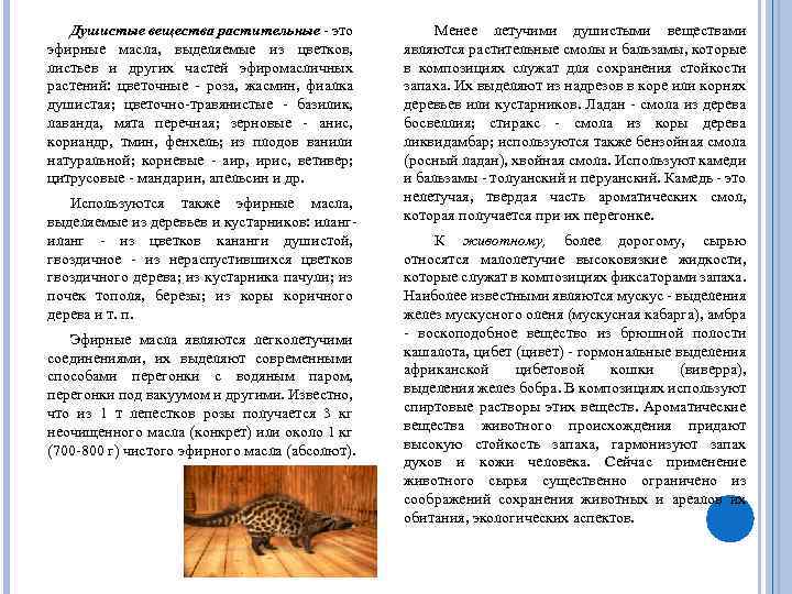 Душистые вещества растительные - это эфирные масла, выделяемые из цветков, листьев и других частей