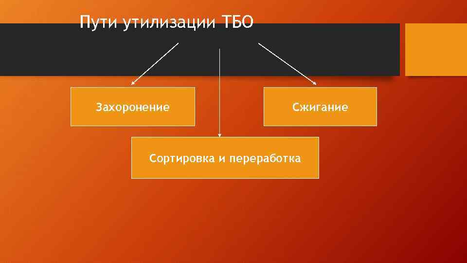 Пути утилизации ТБО Захоронение Сжигание Сортировка и переработка 