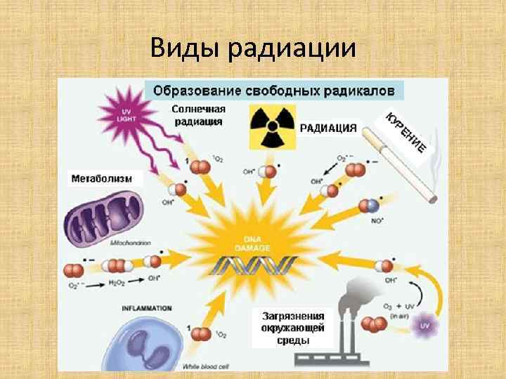 Фон радиации норма