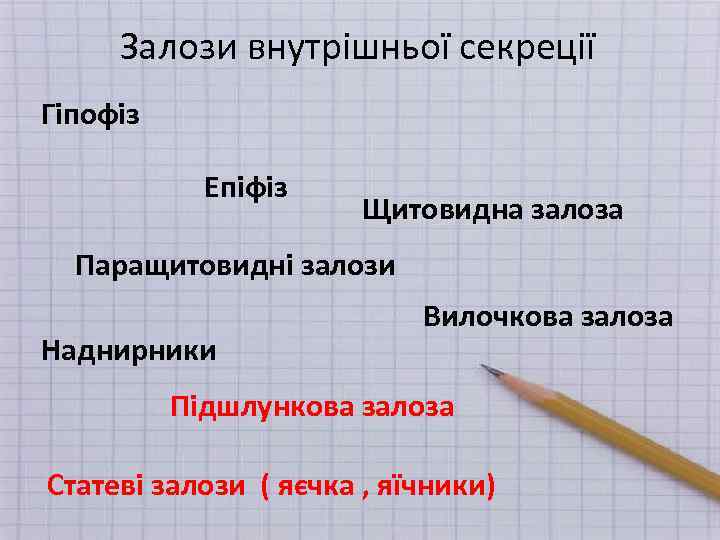 Залози внутрішньої секреції Гіпофіз Епіфіз Щитовидна залоза Паращитовидні залози Наднирники Вилочкова залоза Підшлункова залоза