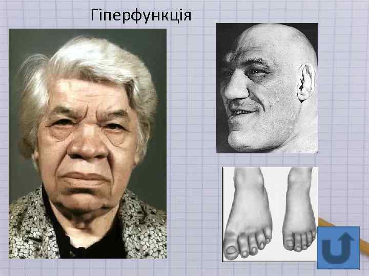 Гіперфункція 