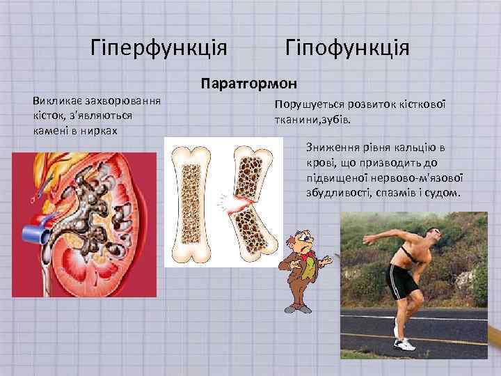 Гіперфункція Викликає захворювання кісток, з'являються камені в нирках Гіпофункція Паратгормон Порушуеться розвиток кісткової тканини,
