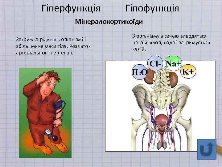 Гіперфункція Гіпофункція Мінералокортикоїди Затримка рідини в організмі і збільшення маси тіла. Розвиток артеріальної гіпертензії.