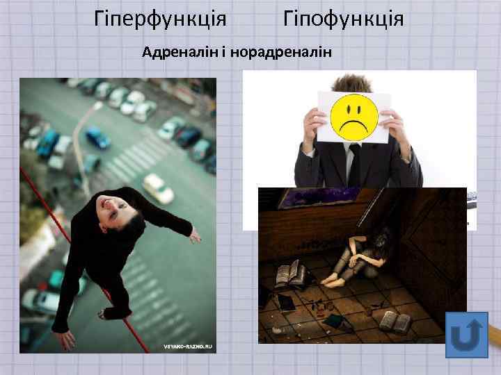 Гіперфункція Гіпофункція Адреналін і норадреналін 