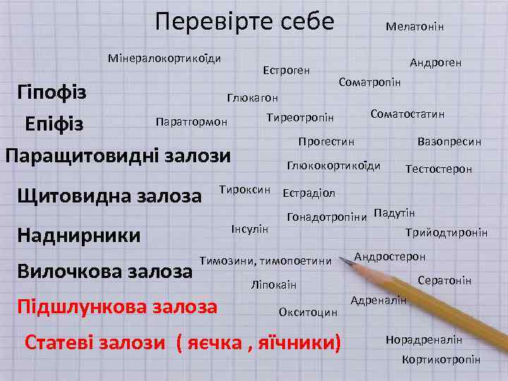Перевірте себе Мінералокортикоїди Естроген Мелатонін Андроген Соматропін Гіпофіз Глюкагон Соматостатин Тиреотропін Паратгормон Епіфіз Прогестин