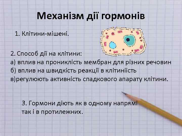 Механізм дії гормонів 1. Клітини-мішені. 2. Способ дії на клітини: а) вплив на прониклість