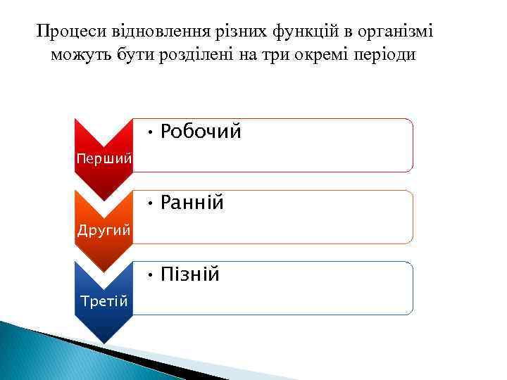 Процеси відновлення різних функцій в організмі можуть бути розділені на три окремі періоди •