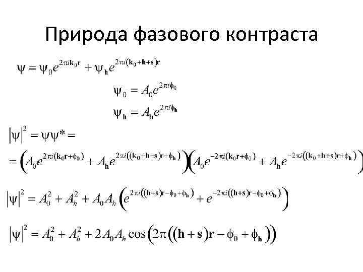 Природа фазового контраста 