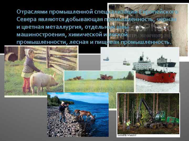 Отраслями промышленной специализации Европейского Севера являются добывающая промышленность, черная и цветная металлургия, отдельные швы