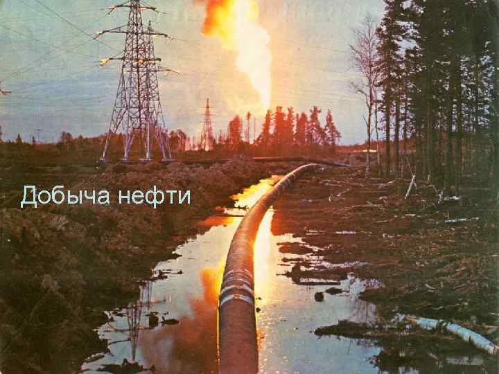 Добыча нефти 
