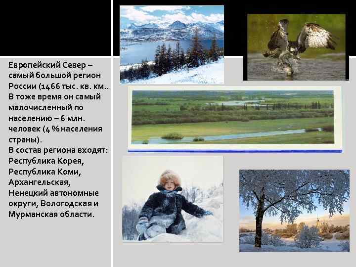 Европейский Север – самый большой регион России (1466 тыс. кв. км. . В тоже