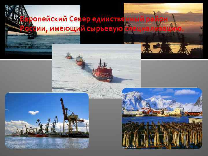 Европейский Север единственный район России, имеющий сырьевую специализацию. 