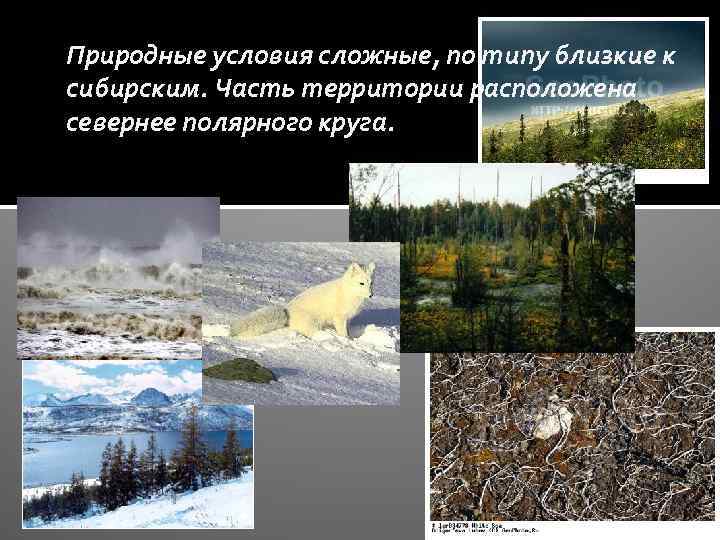 Природные условия сложные, по типу близкие к сибирским. Часть территории расположена севернее полярного круга.